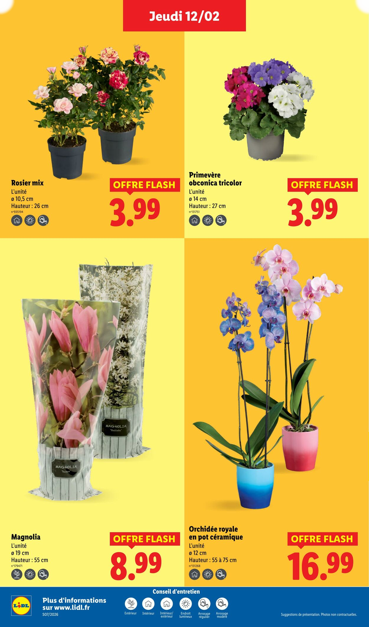  Catalog page 34 image 