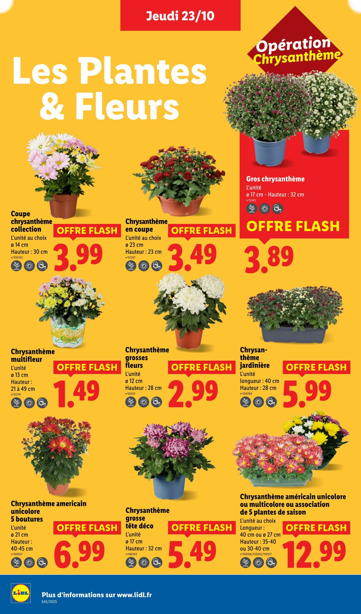  Catalog page 26 image 