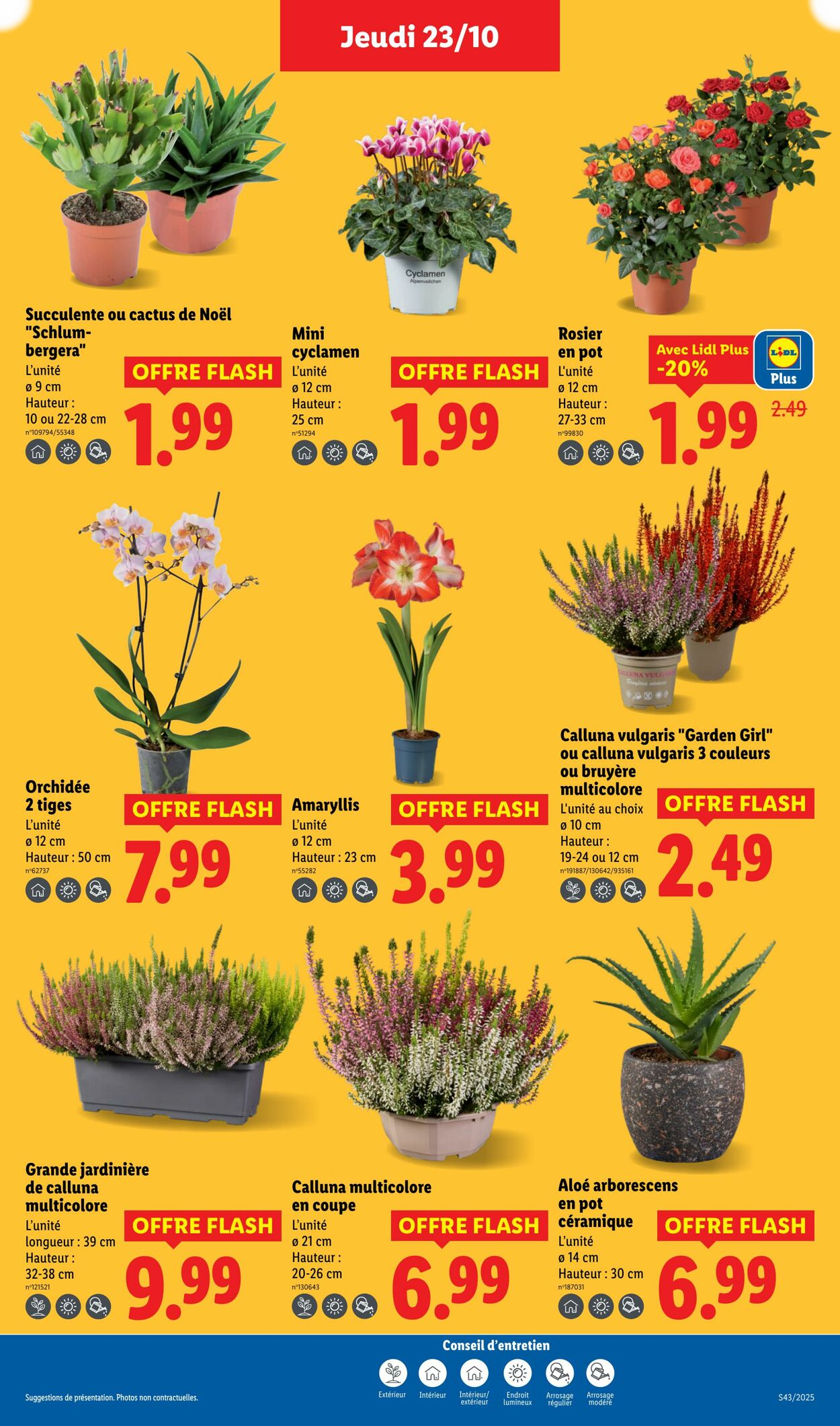  Catalog page 27 image 