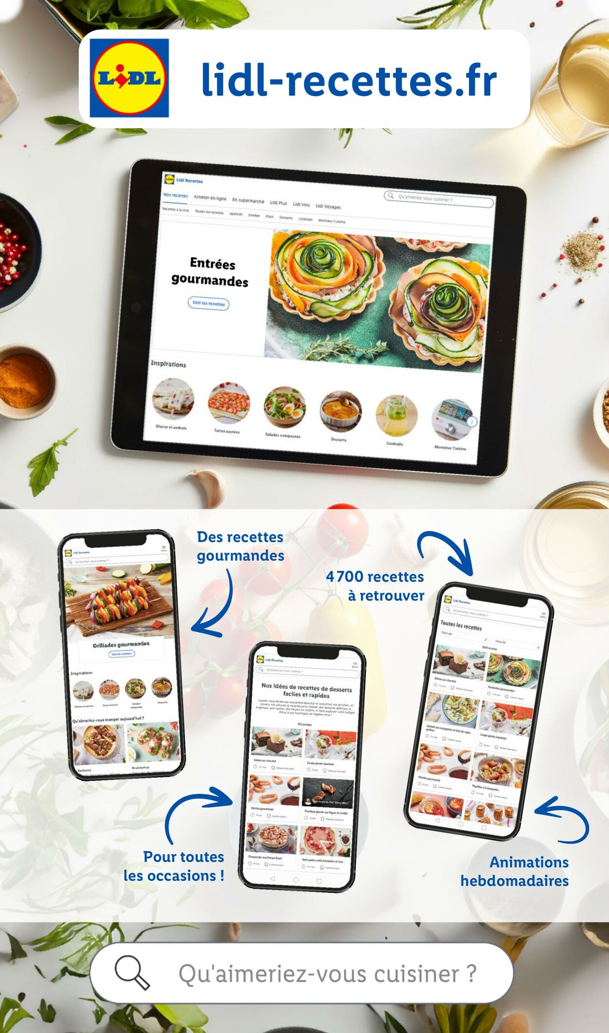  Catalog page 5 image 