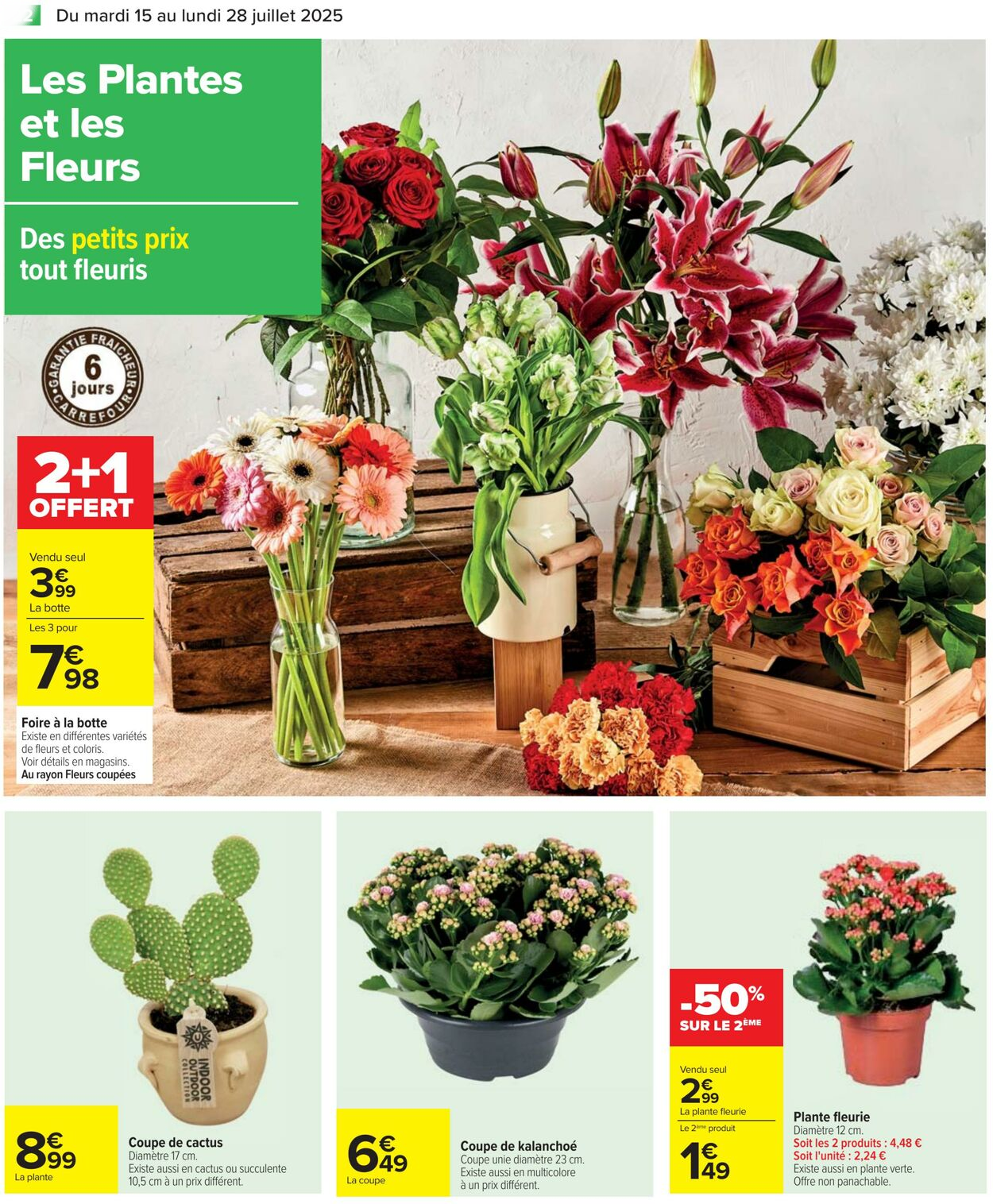  Catalog page 22 image 