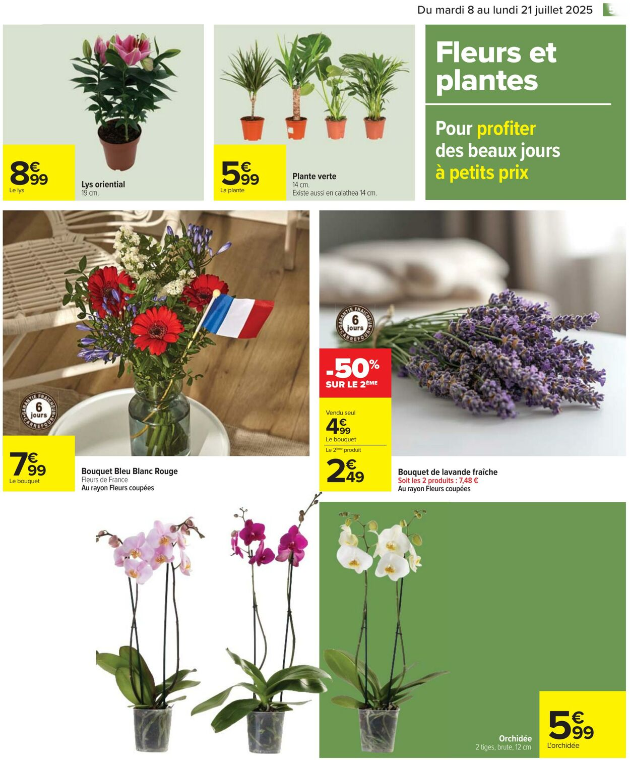  Catalog page 51 image 