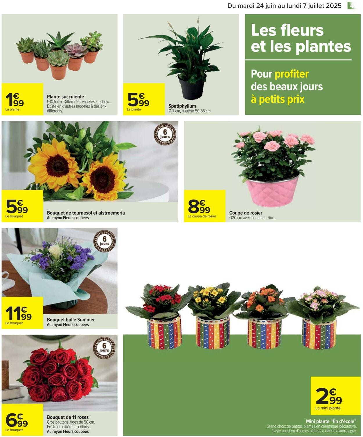  Catalog page 45 image 