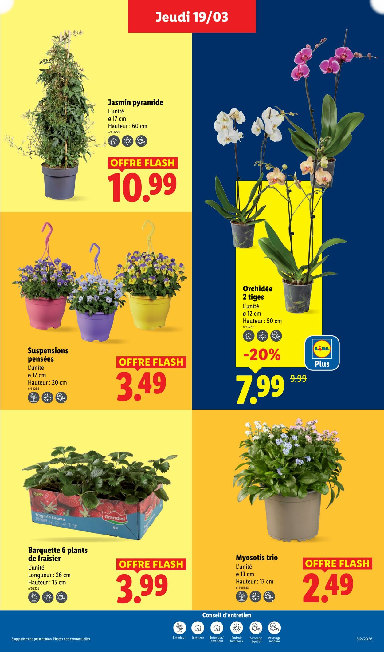 Lidl - Page 27