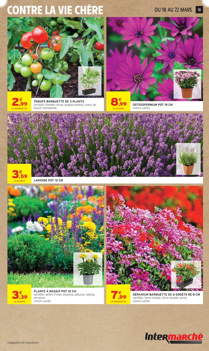 MERVEILLEUSES PÂQUES - Page 19