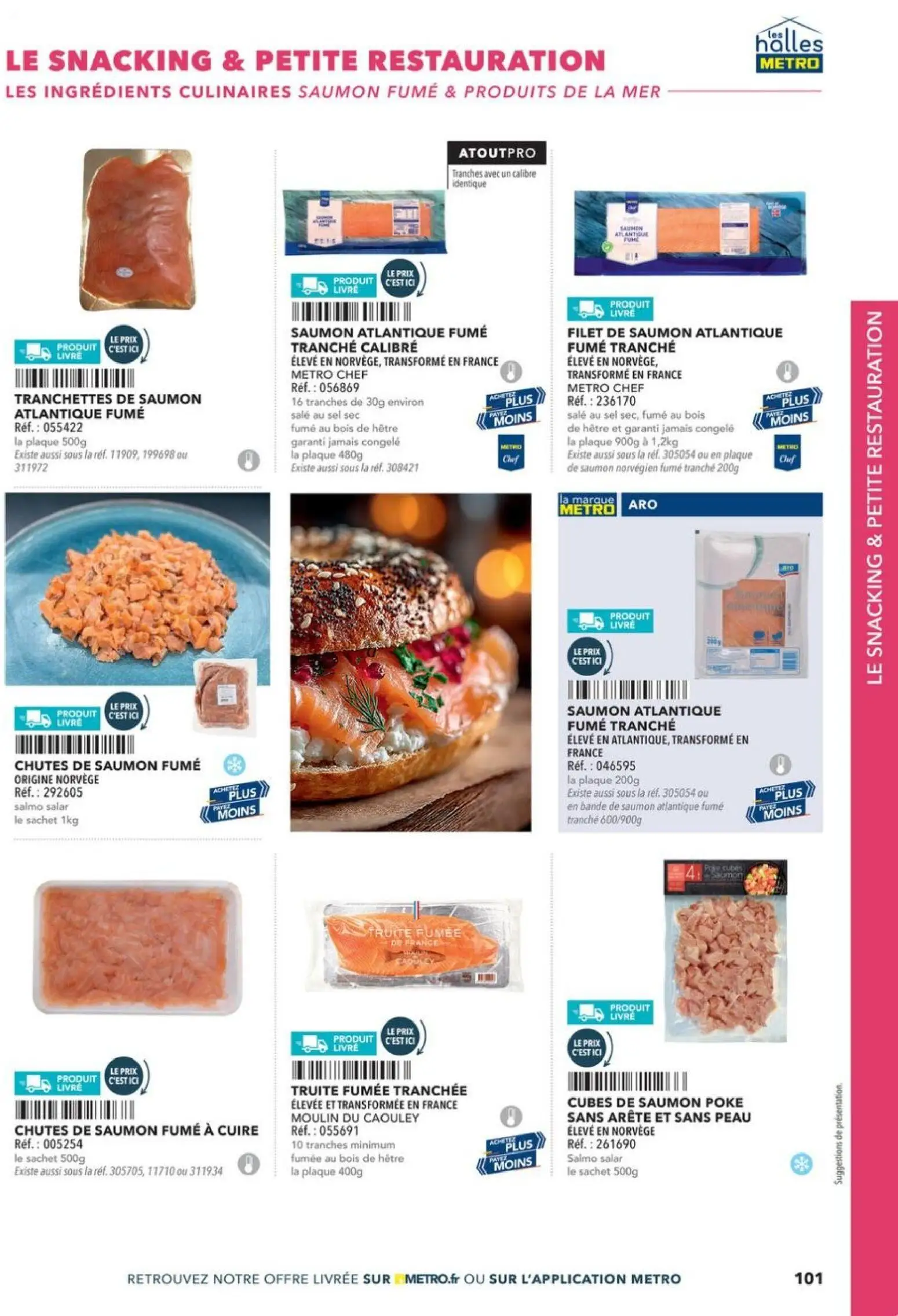  Catalog page 101 image 