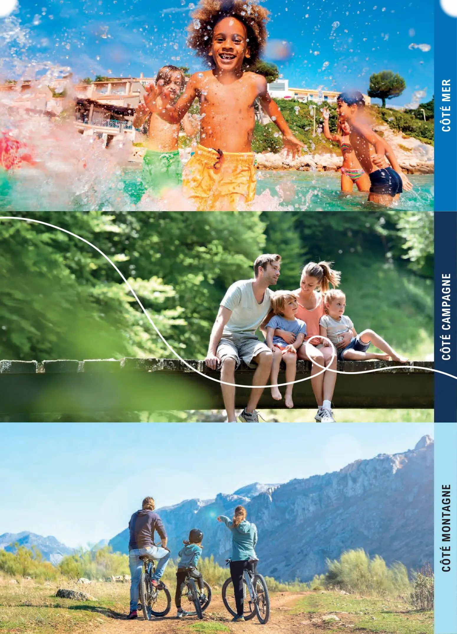  Catalog page 259 image 