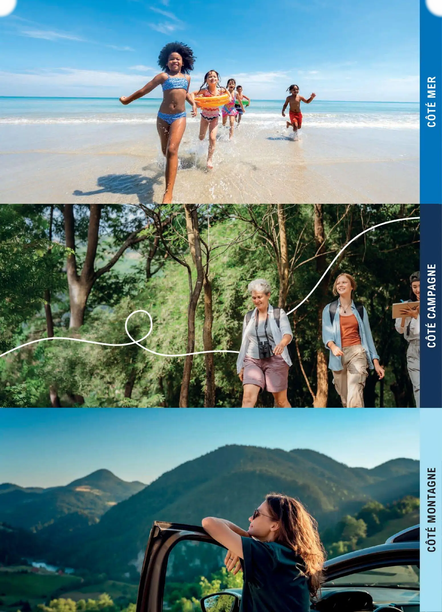  Catalog page 299 image 