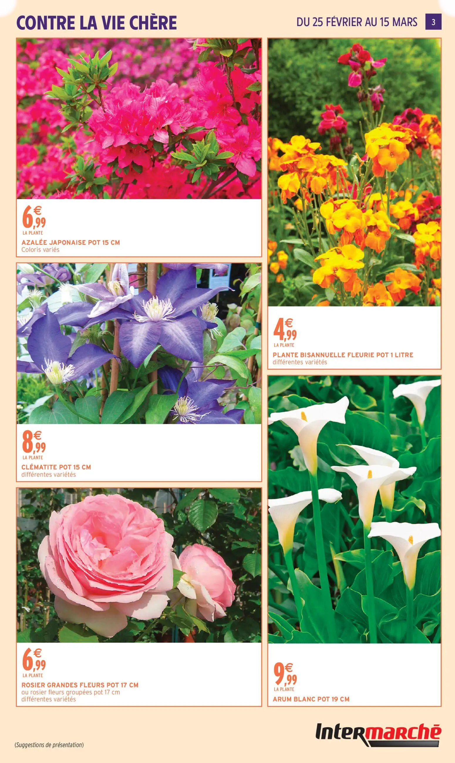  Catalog page 3 image 