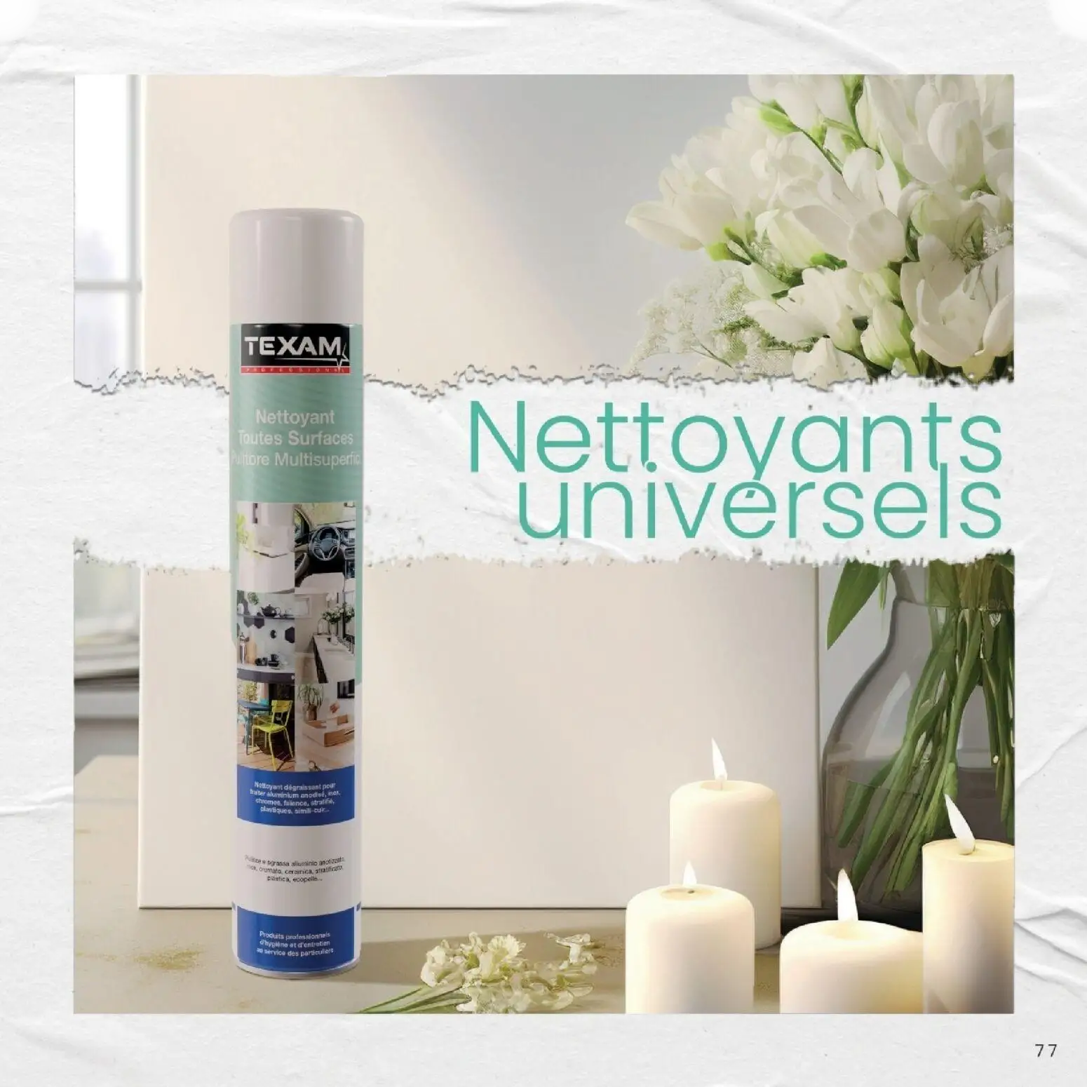  Catalog page 77 image 