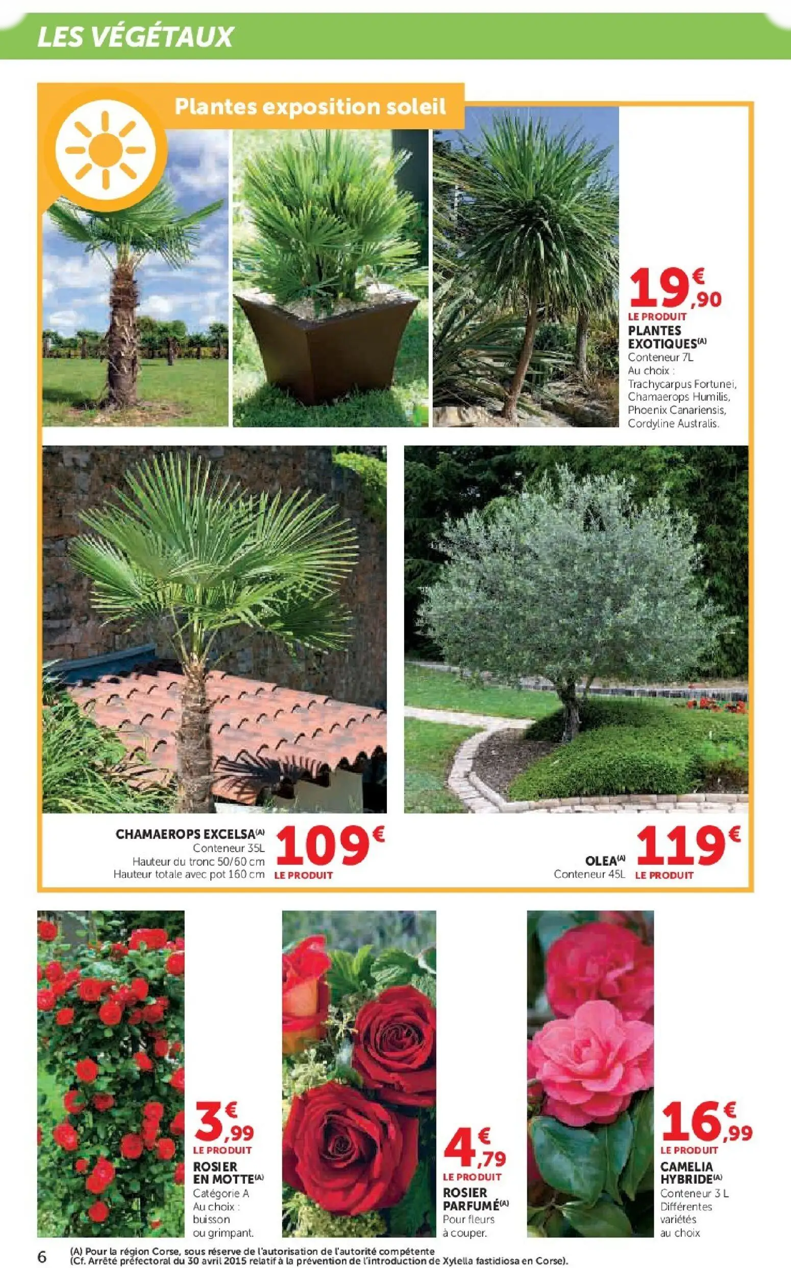  Catalog page 6 image 