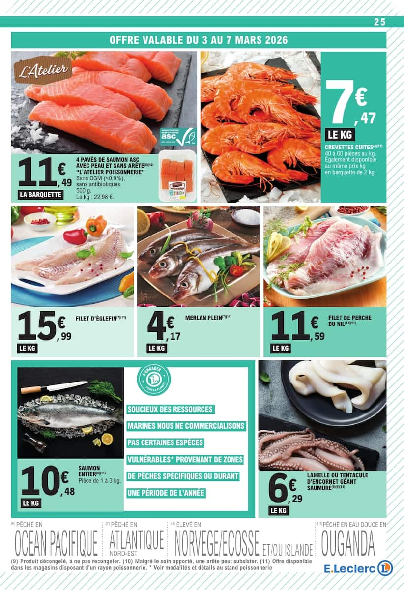  Catalog page 25 image 