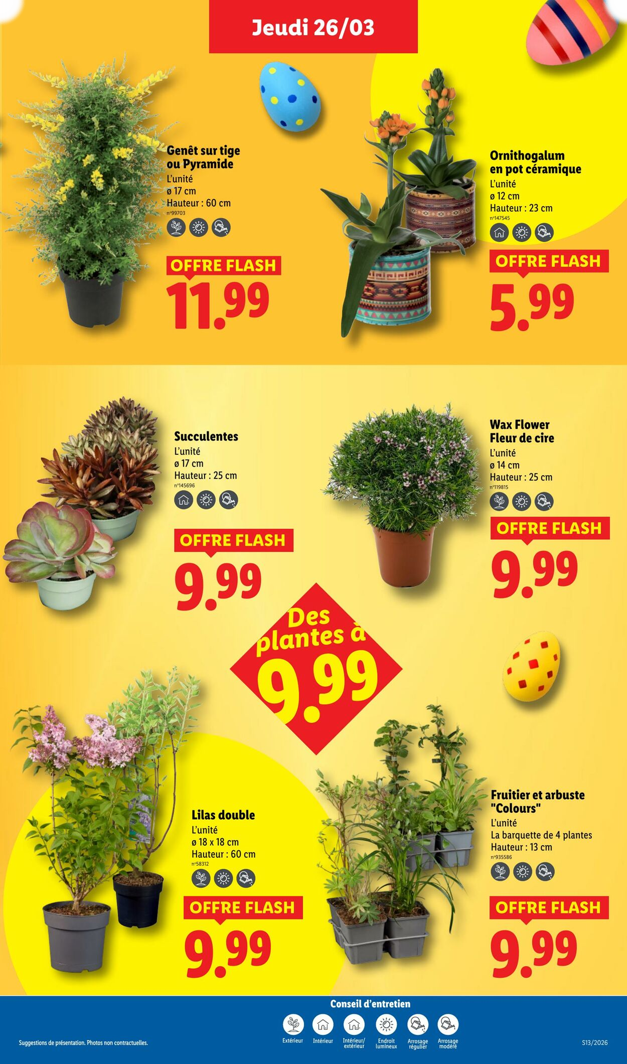 Lidl - Page 27