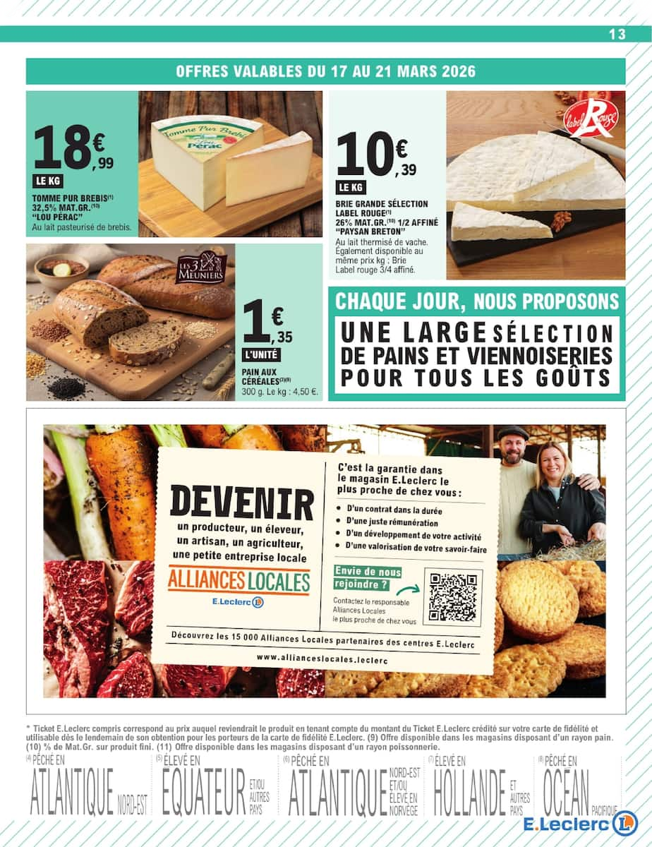  Catalog page 13 image 