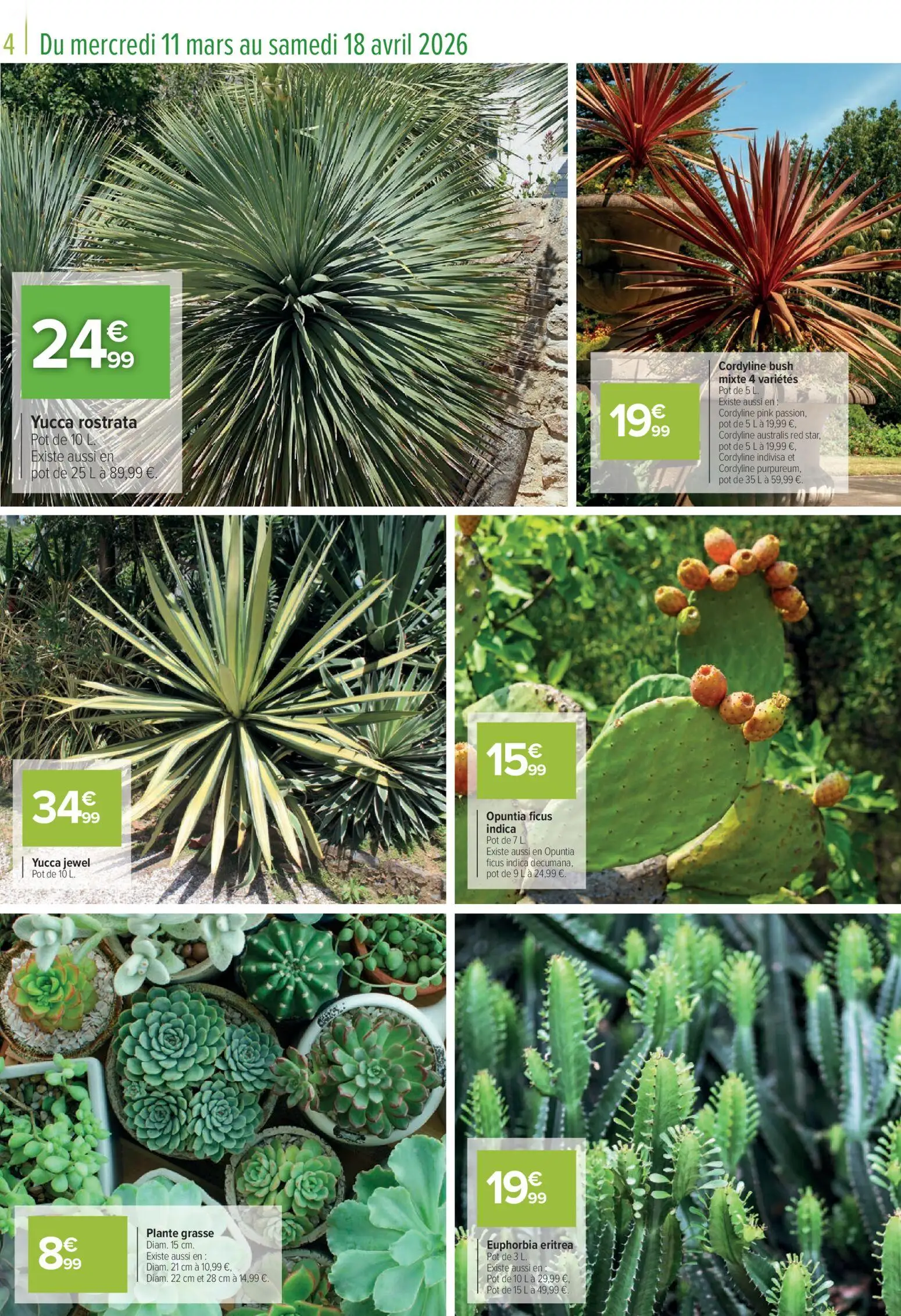  Catalog page 4 image 