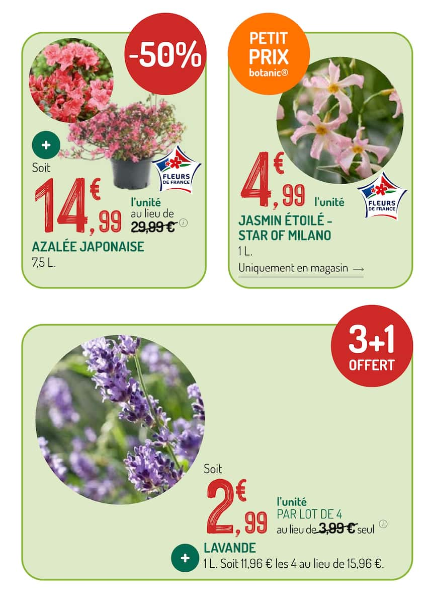  Catalog page 5 image 