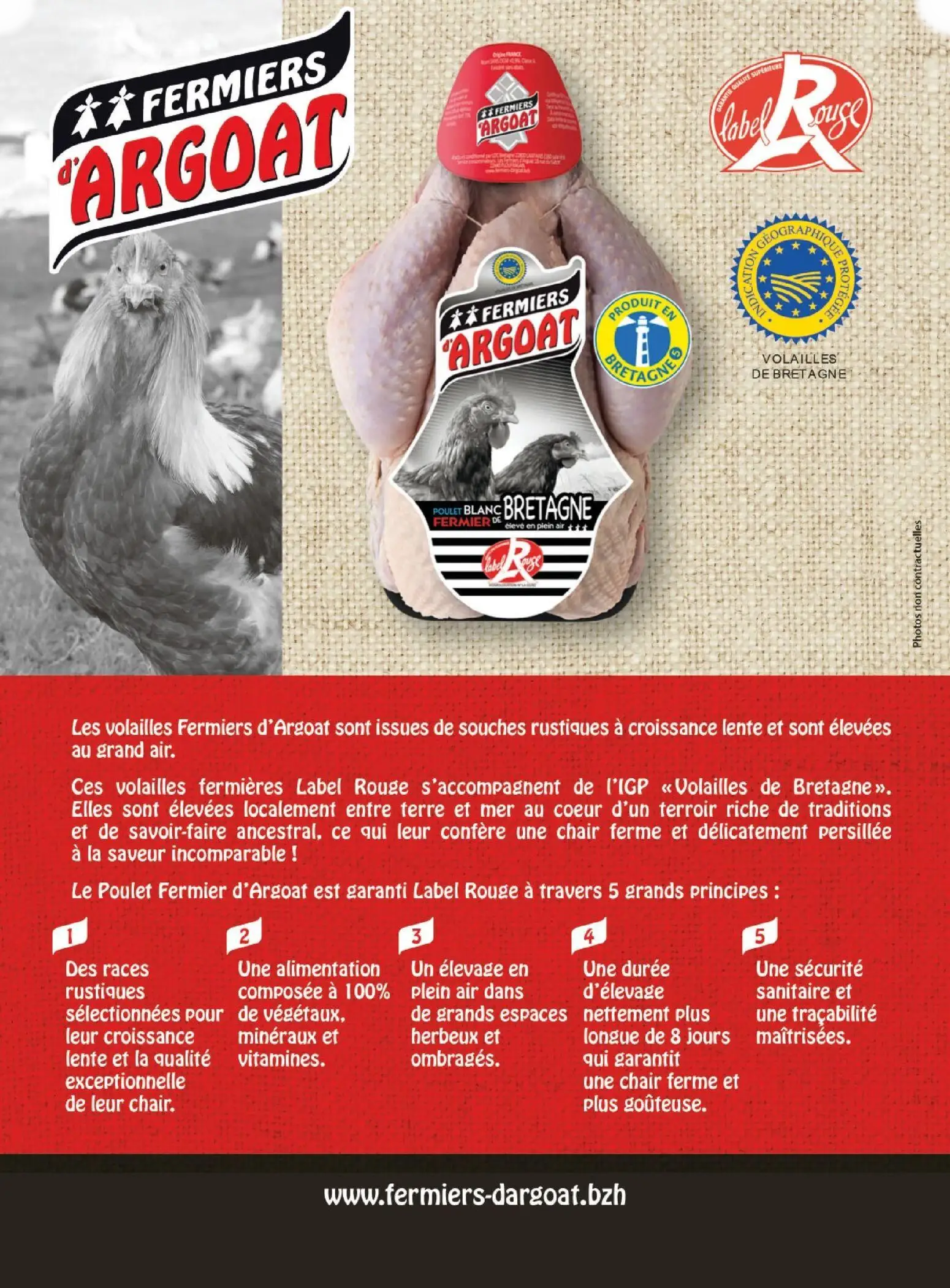  Catalog page 76 image 