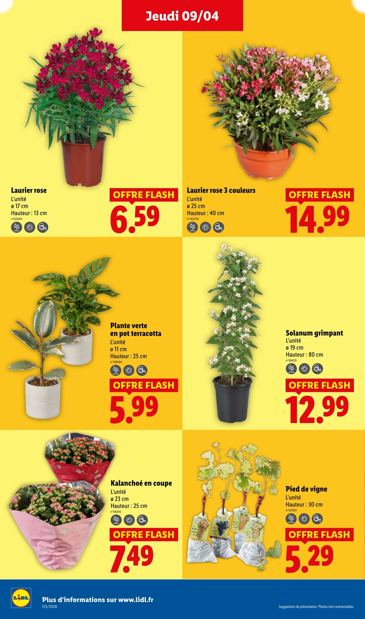 Lidl - Page 26