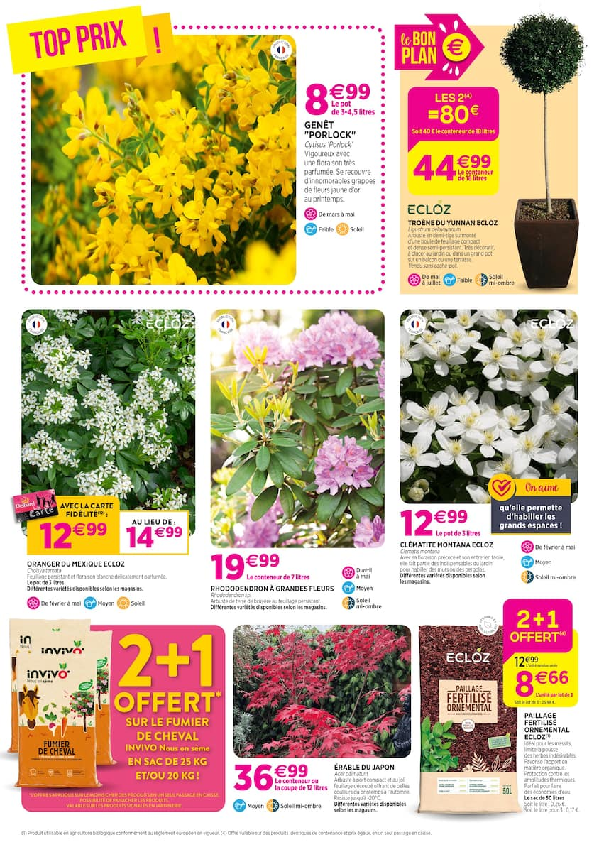 Chez nous, les bonnes affaires c'est toute l'année ! - Page 6