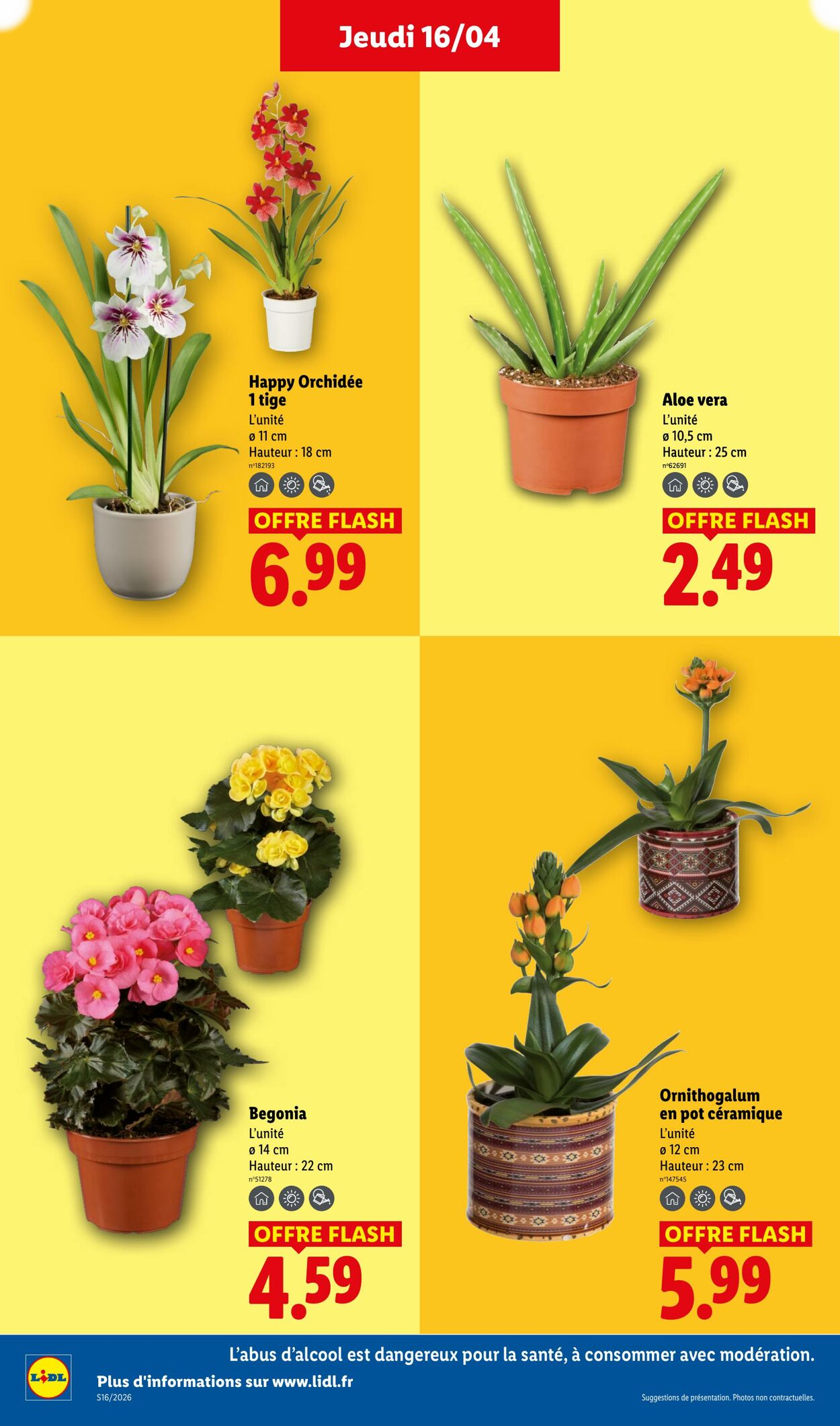 Lidl - Page 26
