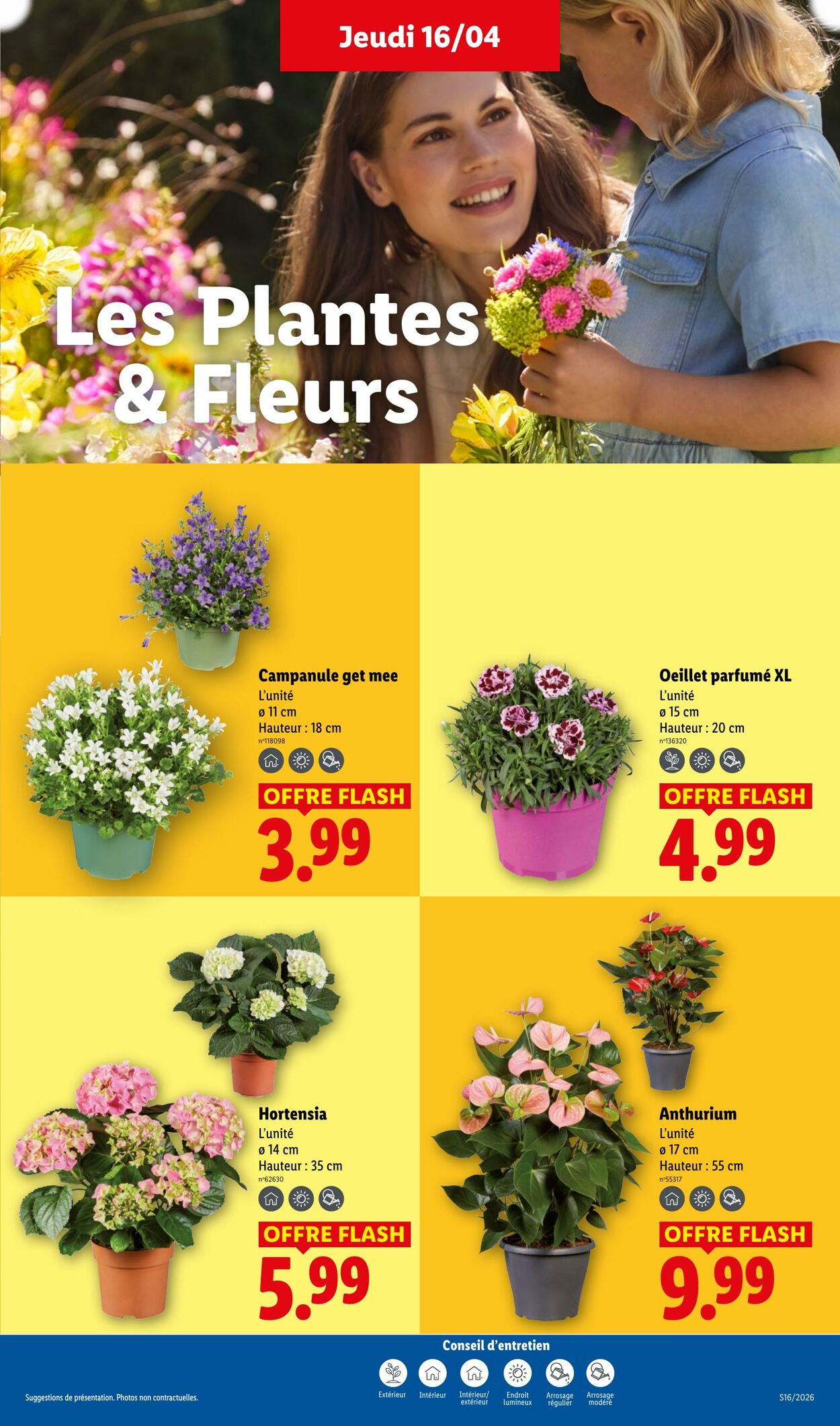 Lidl - Page 25