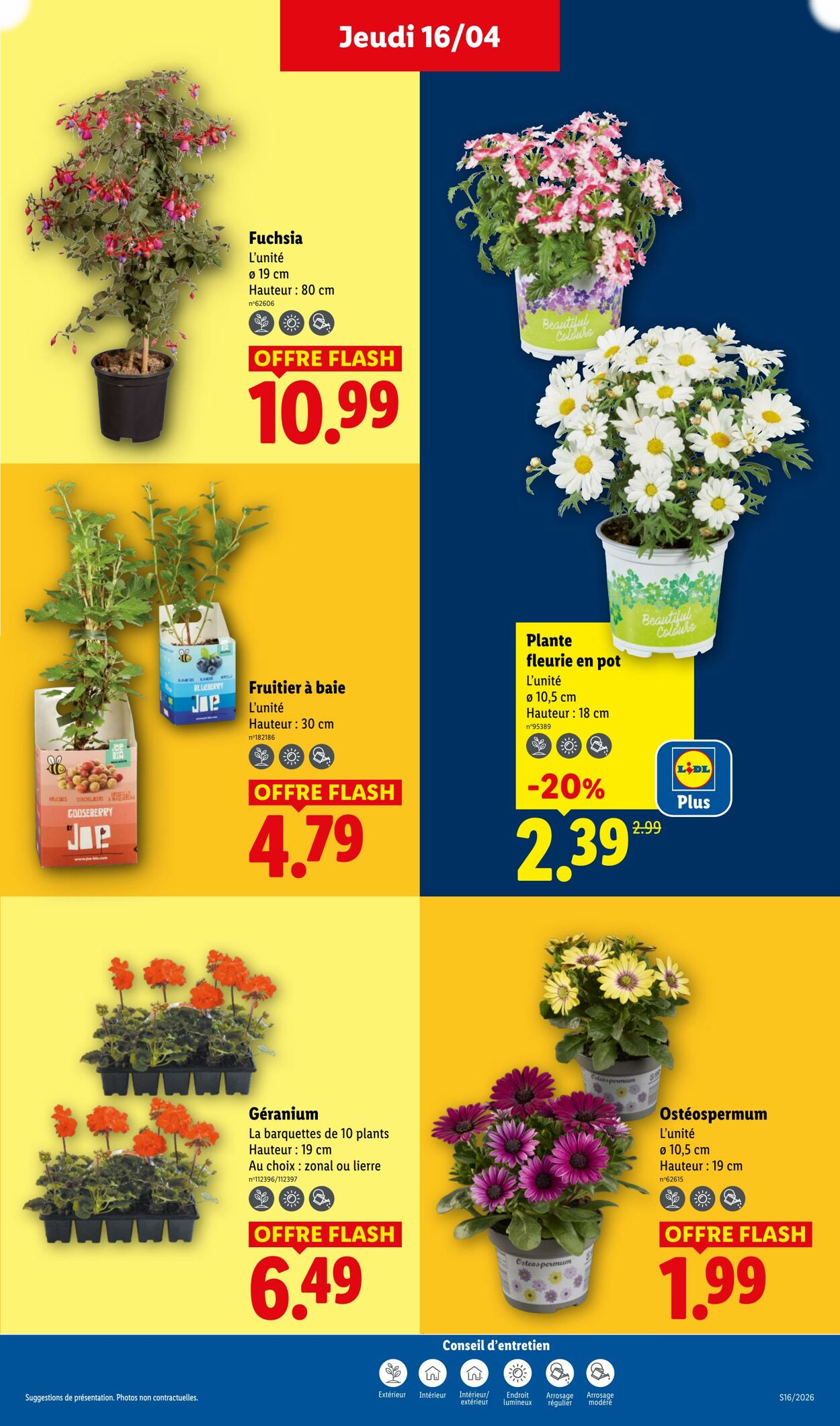 Lidl - Page 27