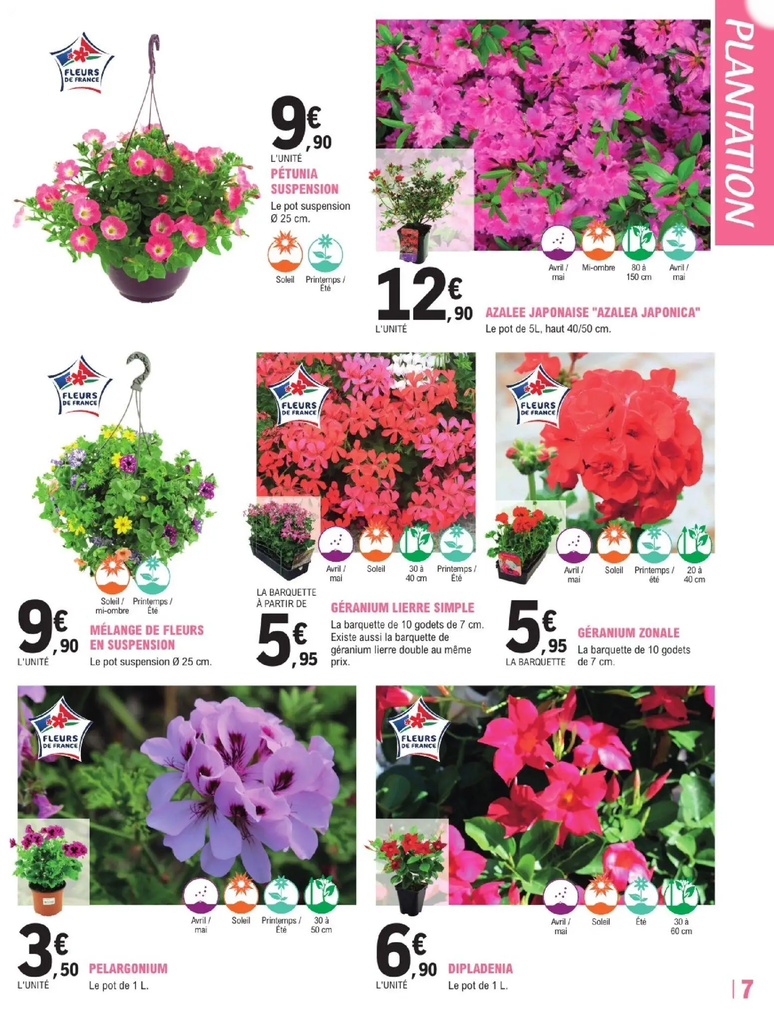  Catalog page 7 image 