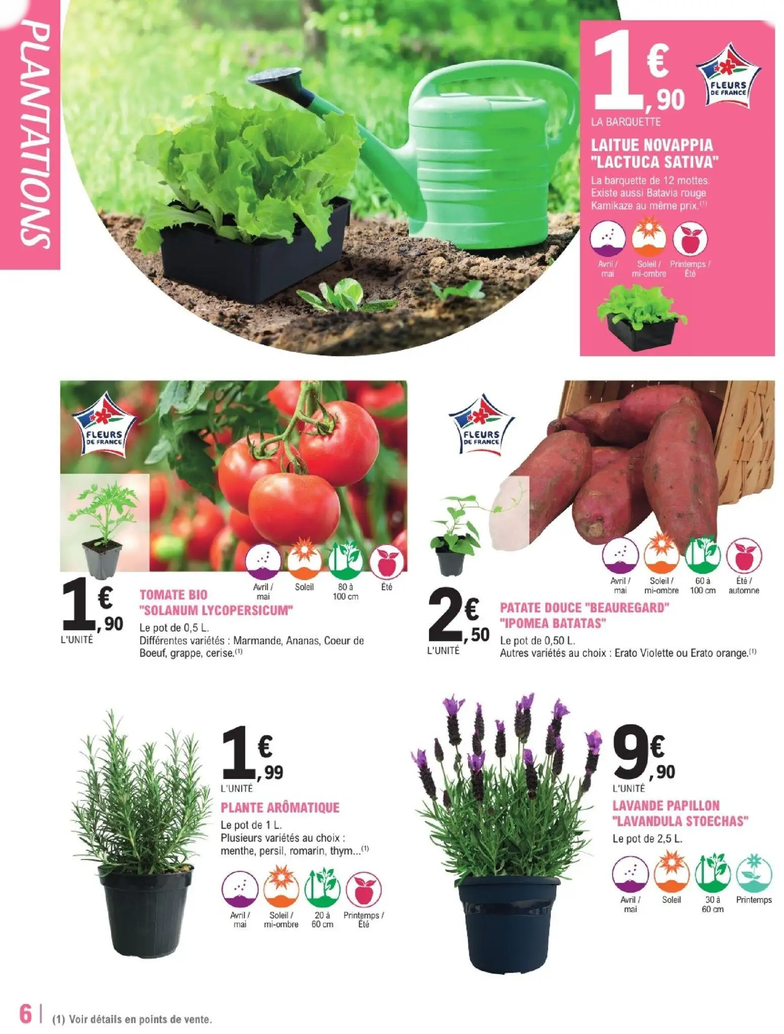  Catalog page 6 image 
