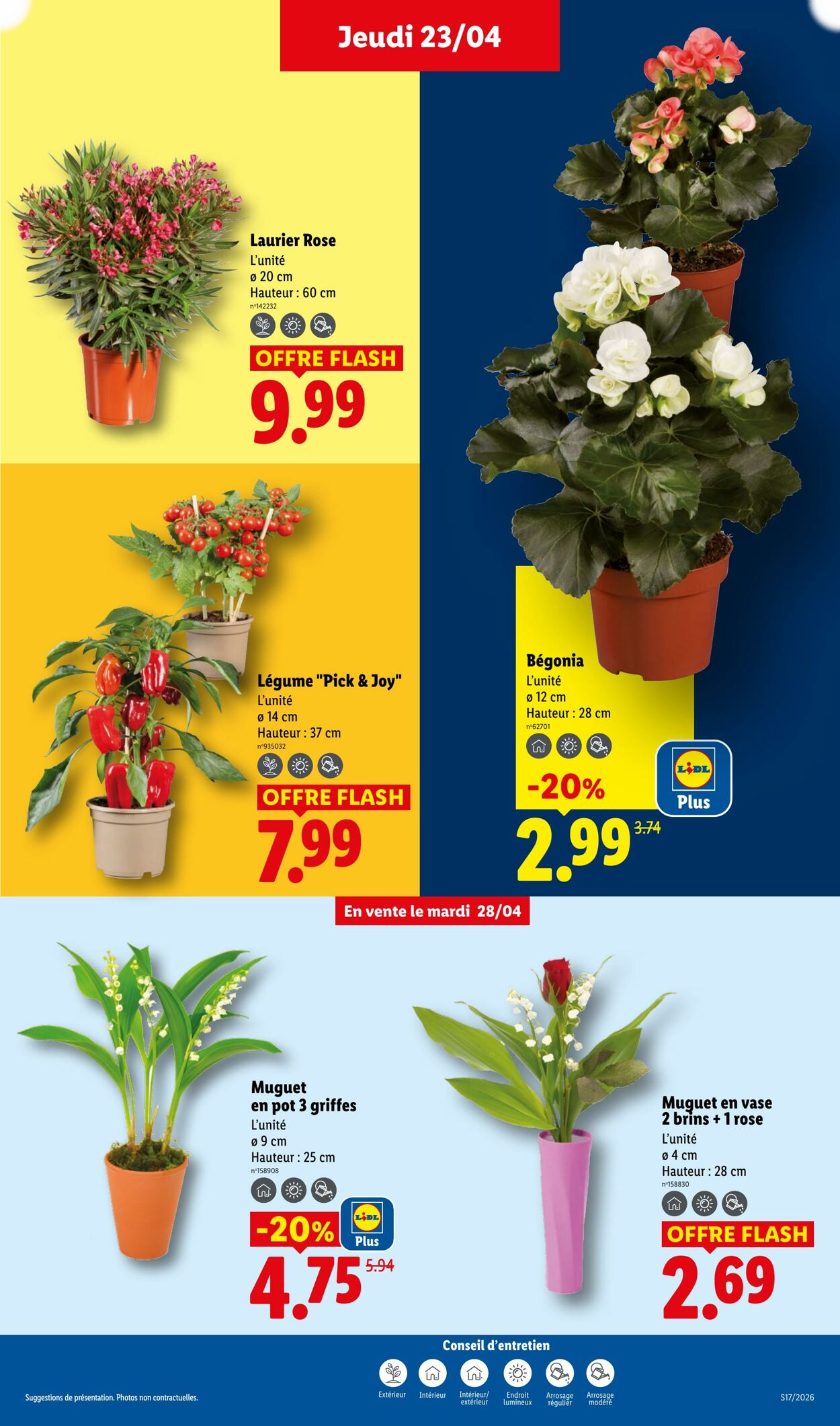 Lidl - Page 27