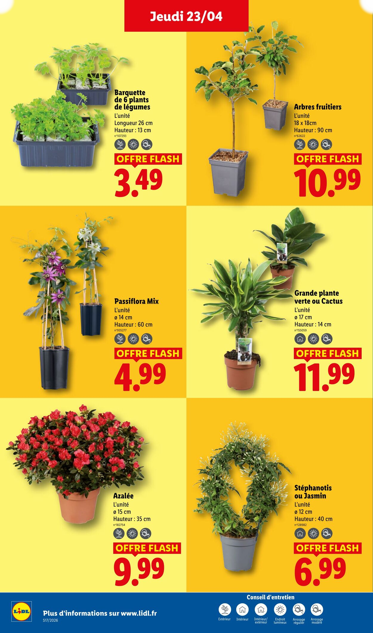 Lidl - Page 28