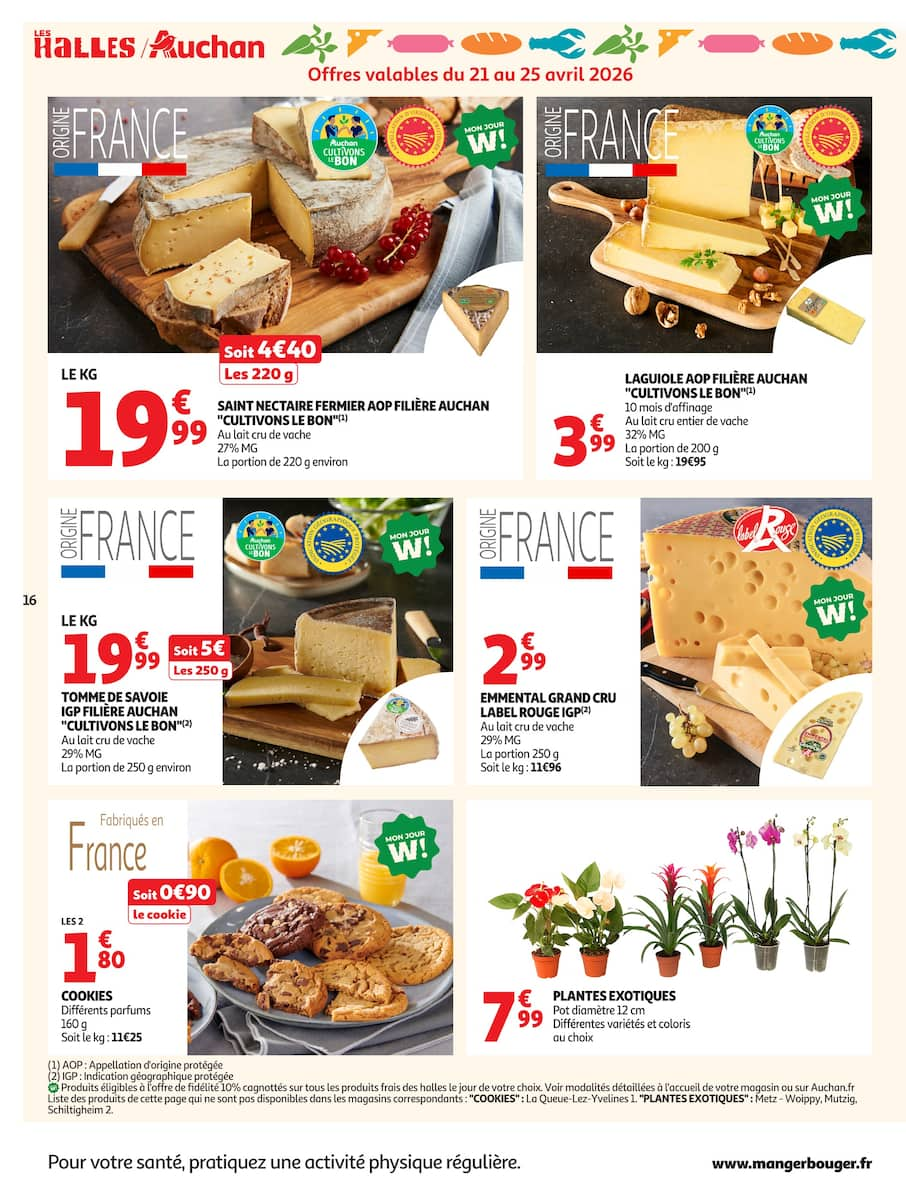  Catalog page 16 image 