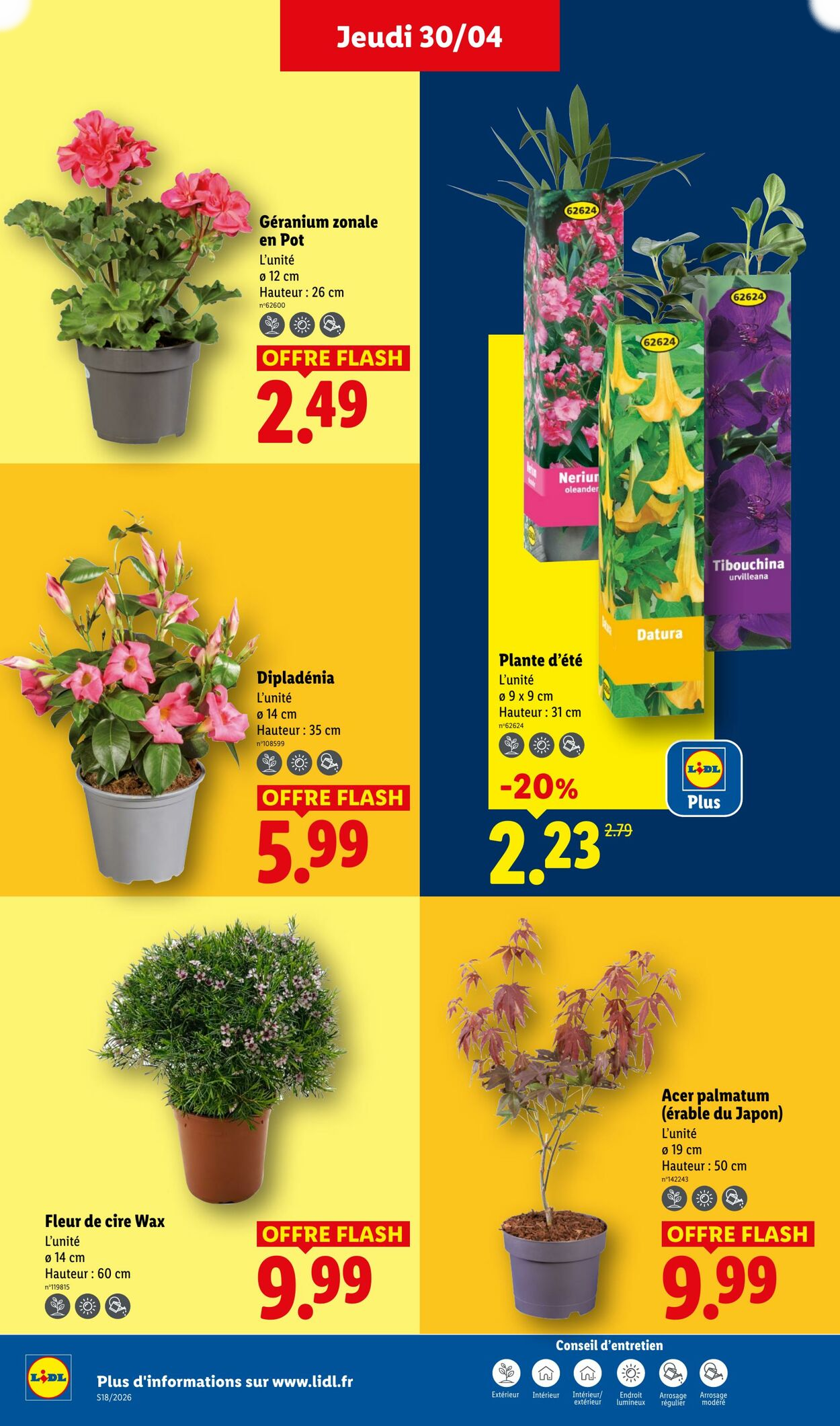 Lidl - Page 26