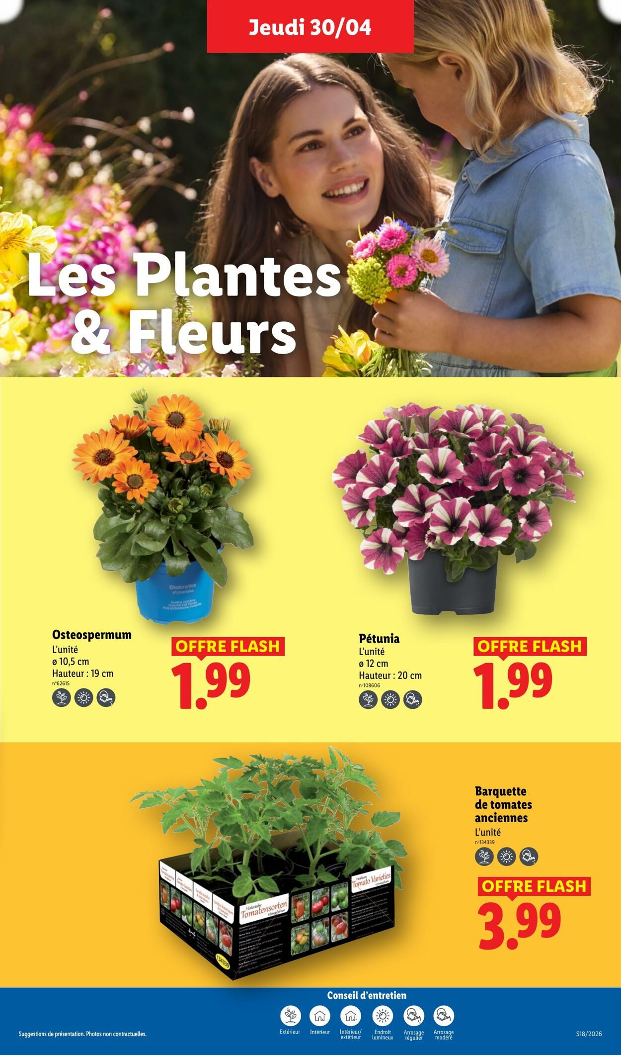 Lidl - Page 25