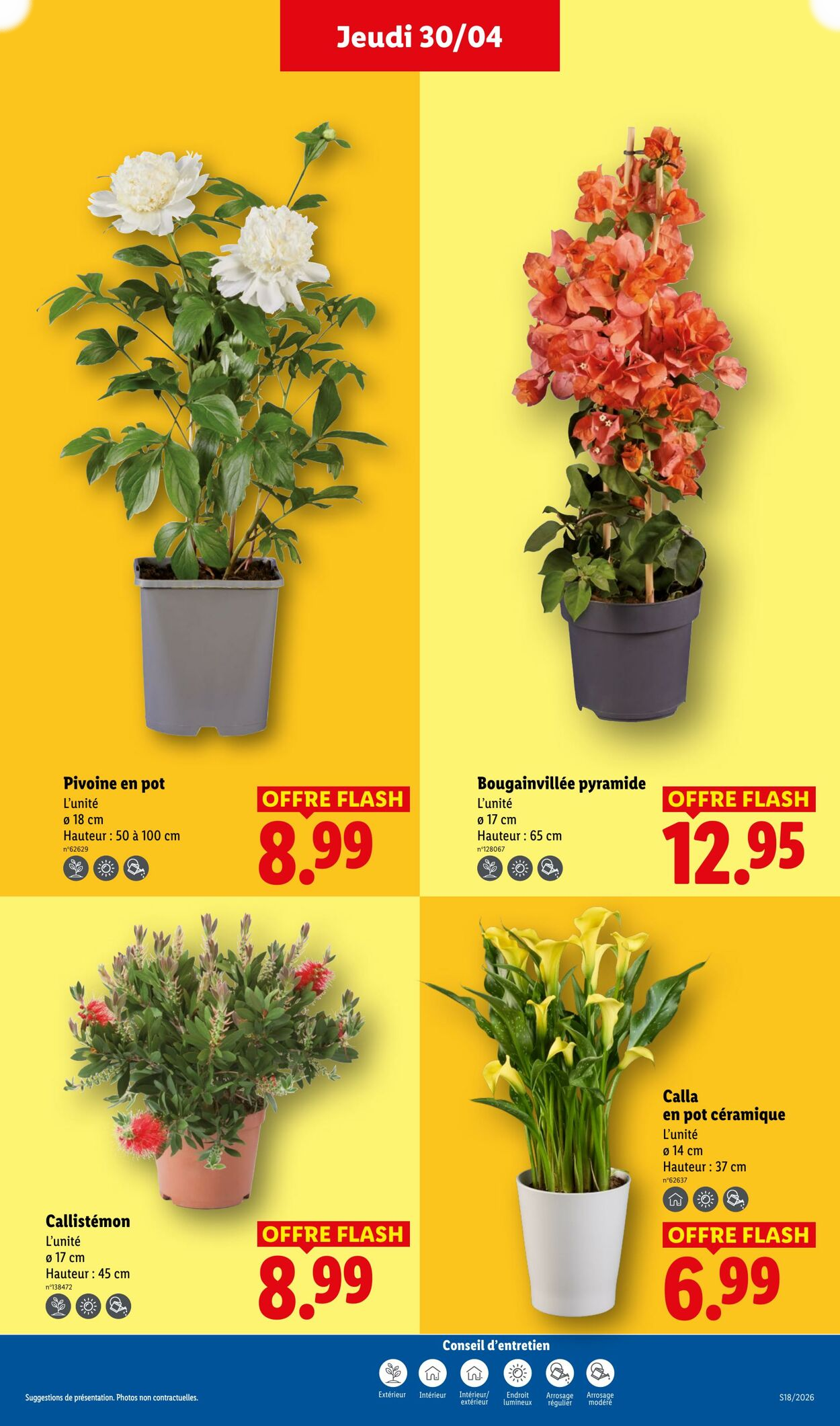 Lidl - Page 27