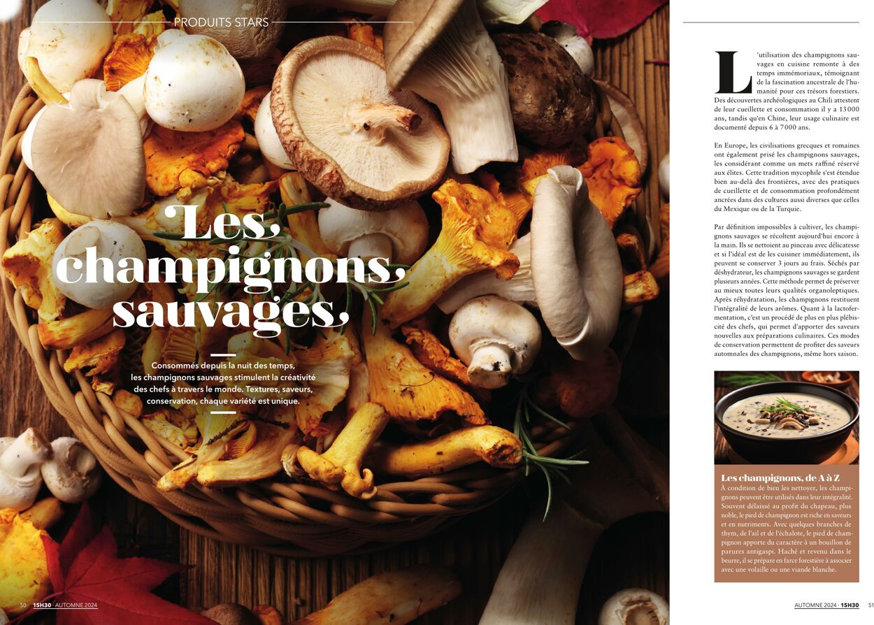  Catalog page 26 image 