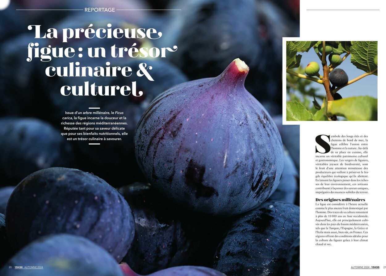  Catalog page 11 image 