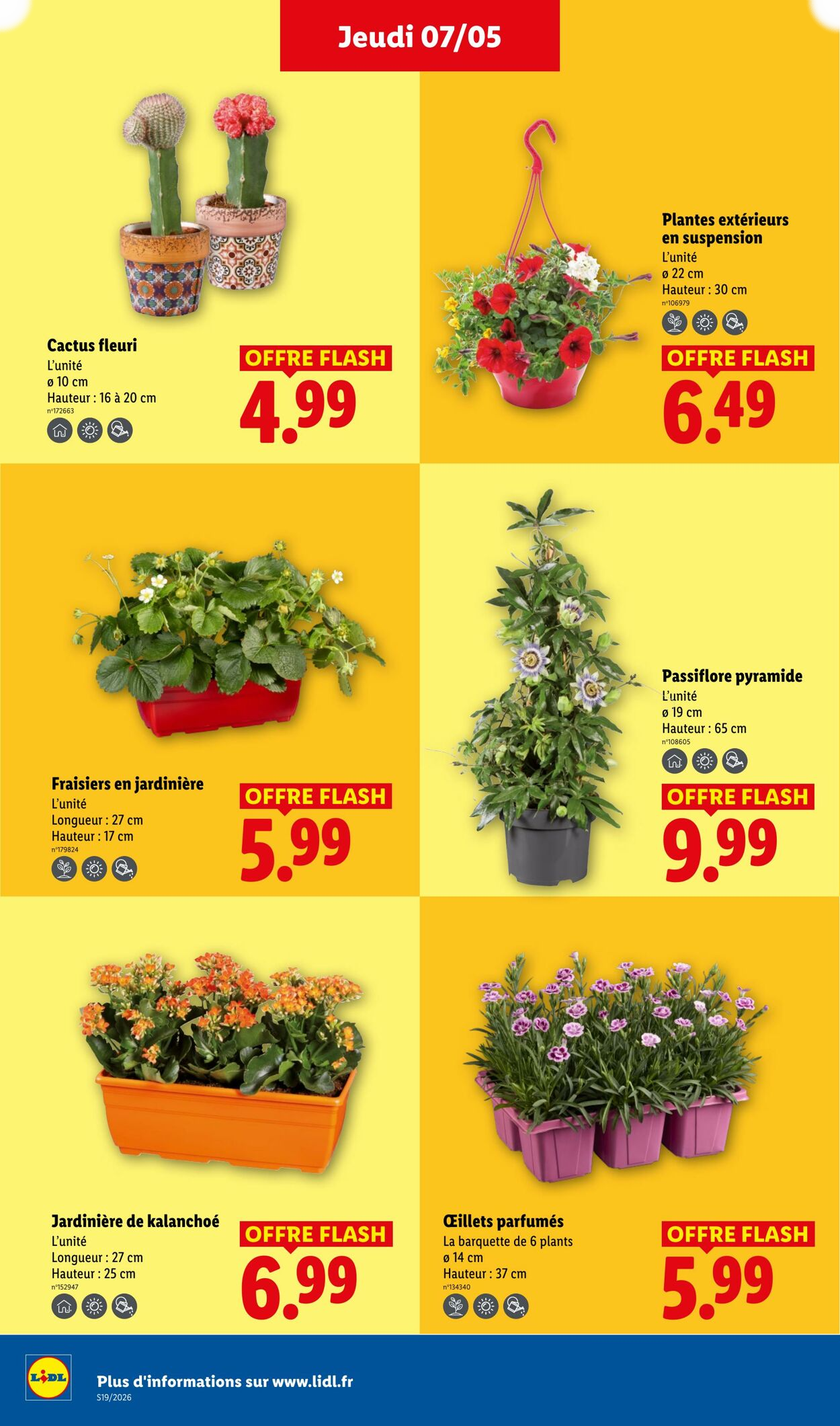 Catalog page 26 image 
