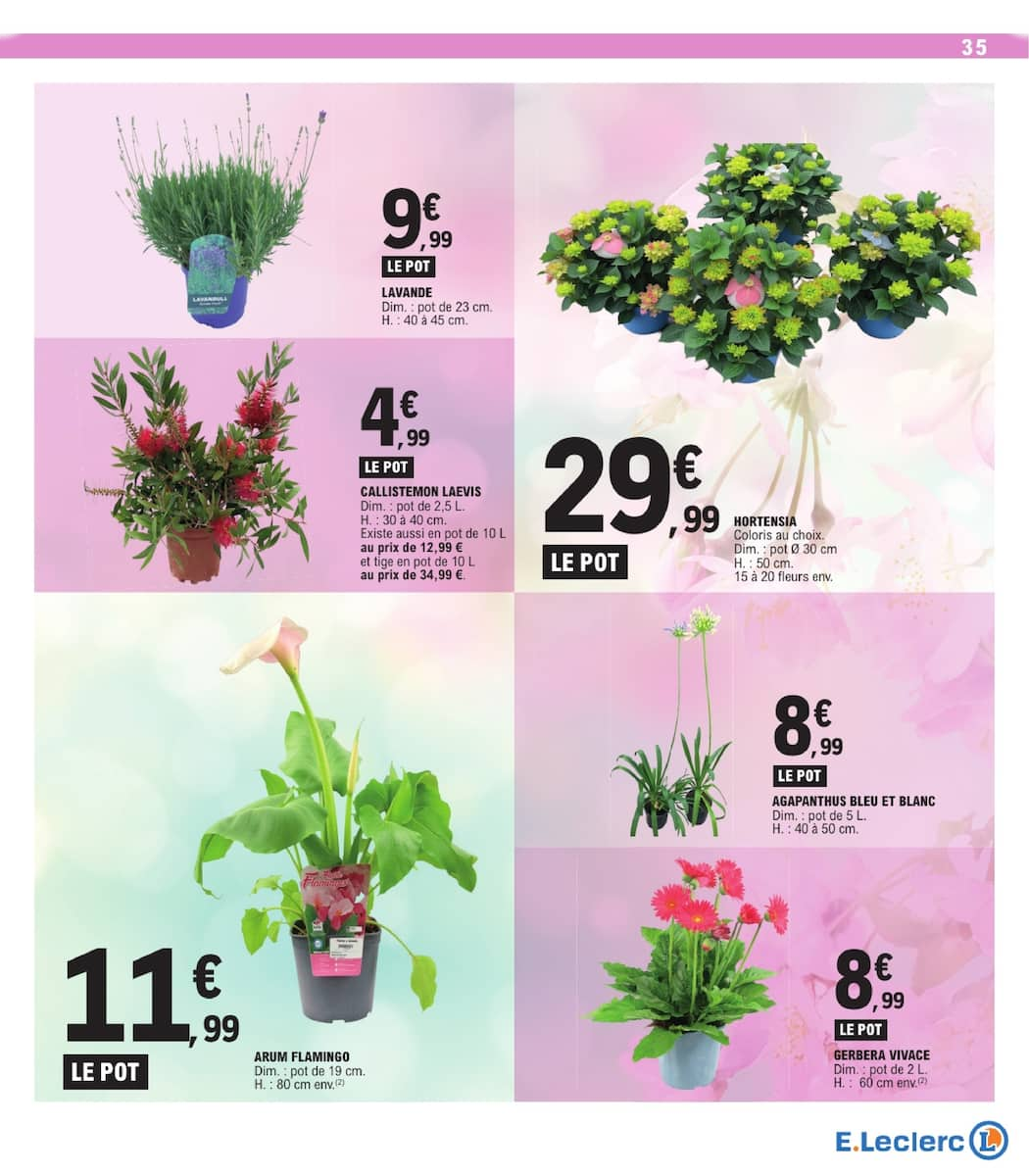 TOUT CE QUI COMPTE POUR VOUS EXISTE À PRIX E.LECERC - Page 35