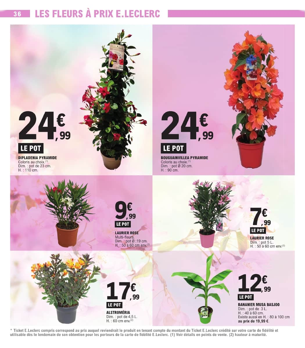TOUT CE QUI COMPTE POUR VOUS EXISTE À PRIX E.LECERC - Page 36