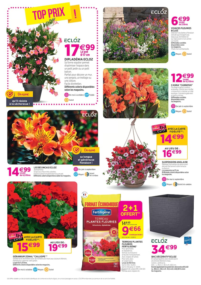  Catalog page 4 image 