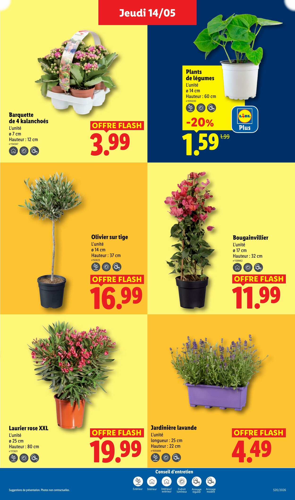 Lidl - Page 25