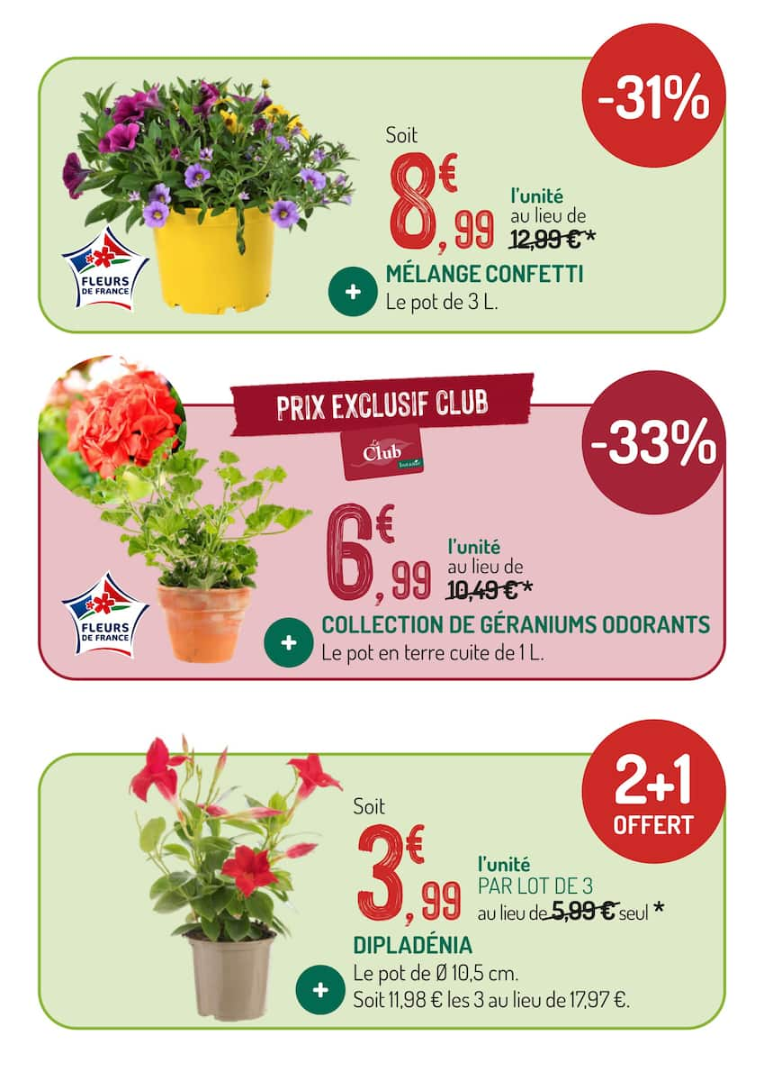 LES OFFRES DU MOMENT À NE PAS MANQUER - Page 7