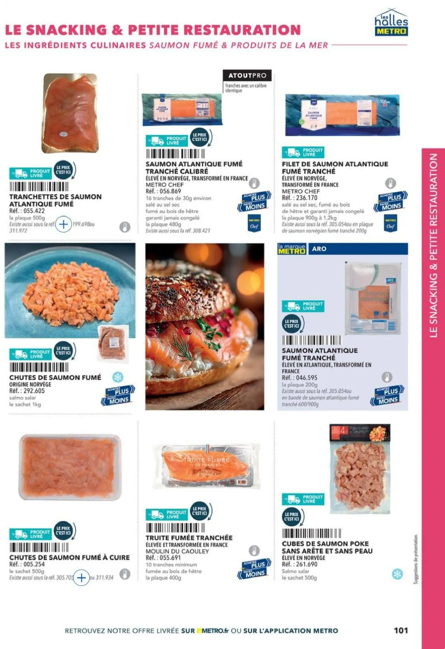  Catalog page 101 image 