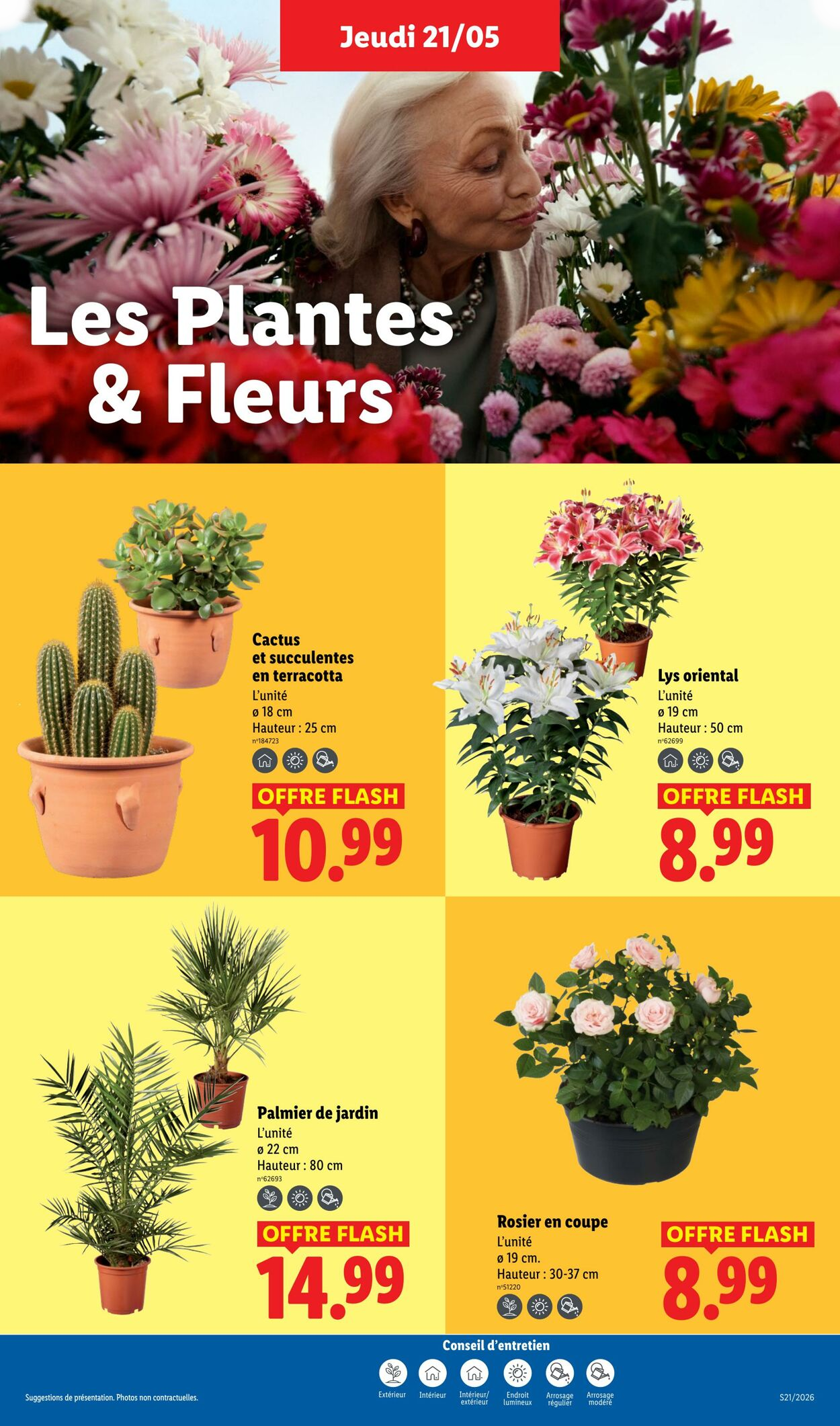 Lidl - Page 25