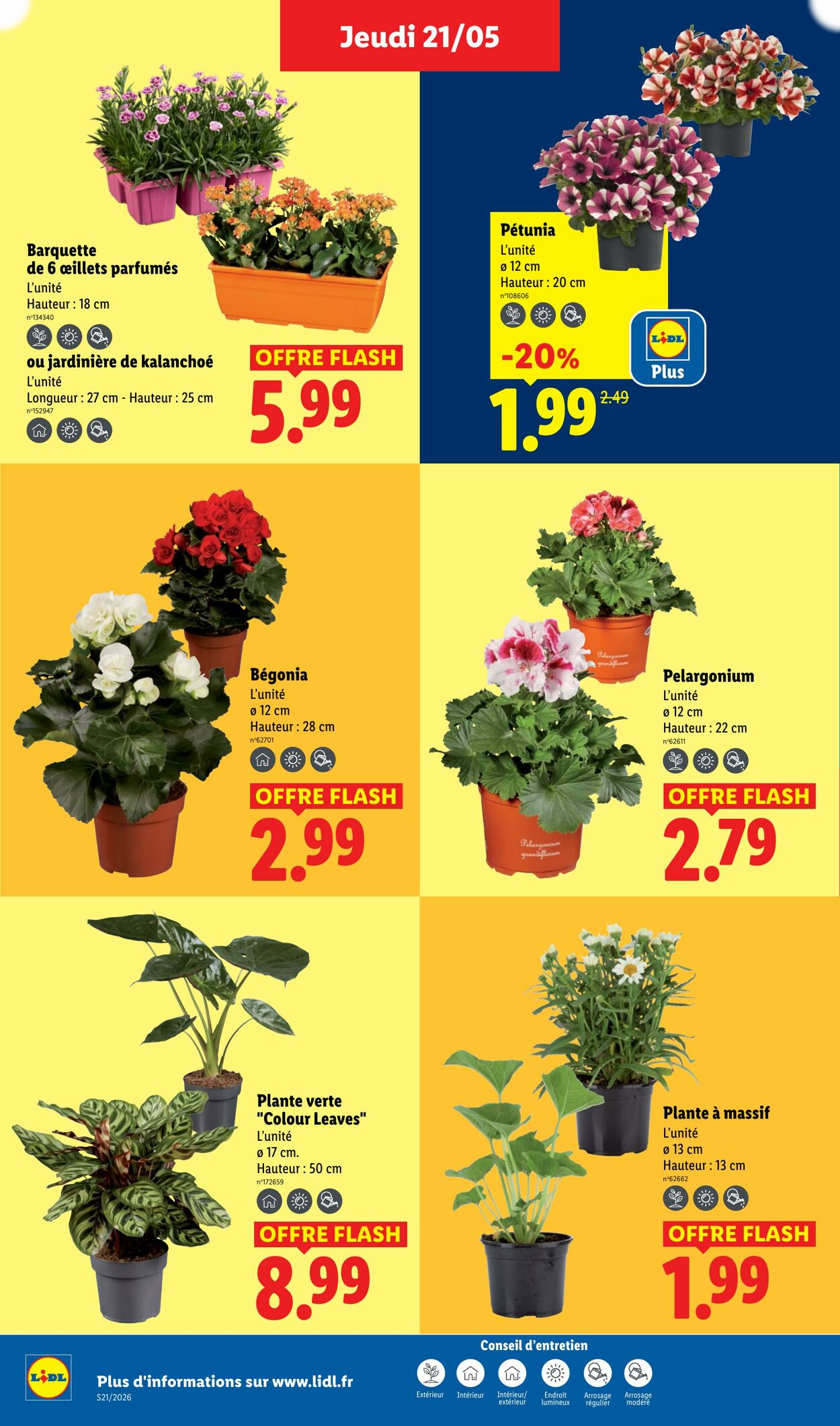 Lidl - Page 26