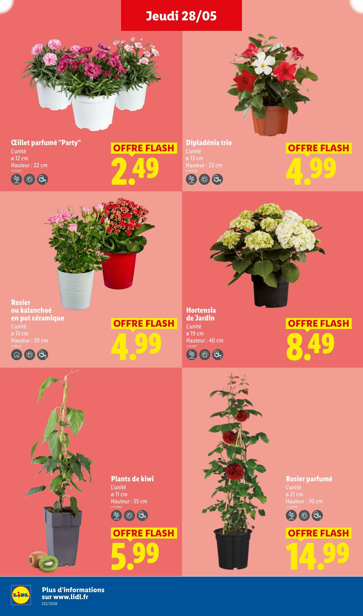 Lidl - Page 28