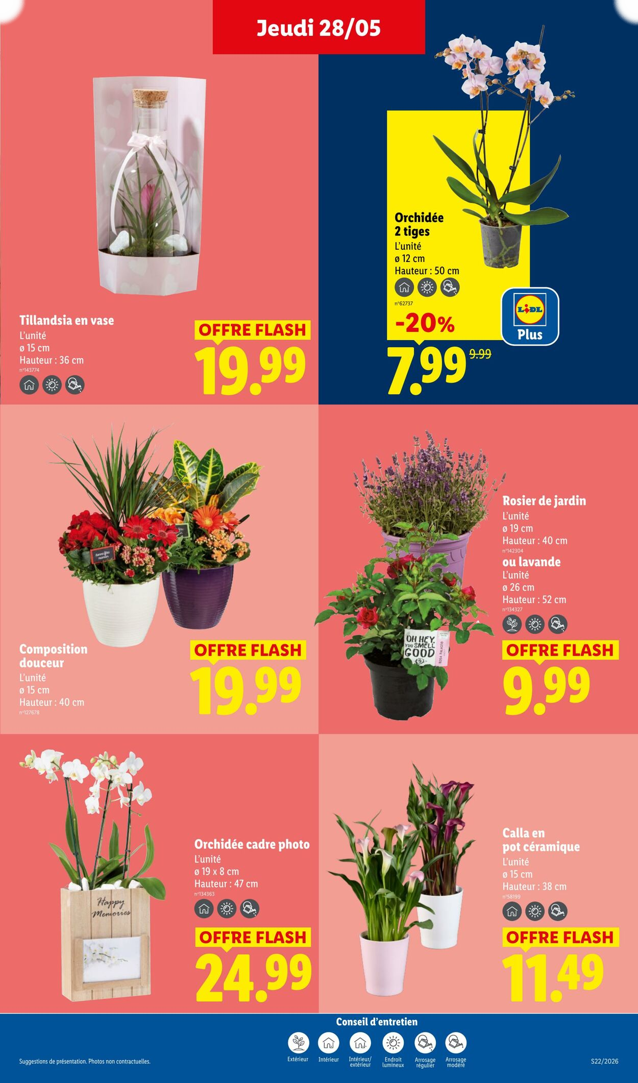 Lidl - Page 27