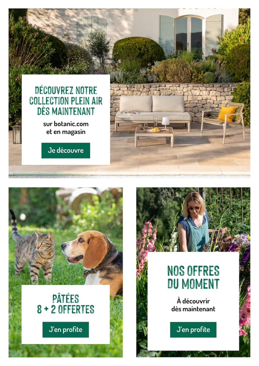LES OFFRES DU MOMENT À NE PAS MANQUER - Page 12
