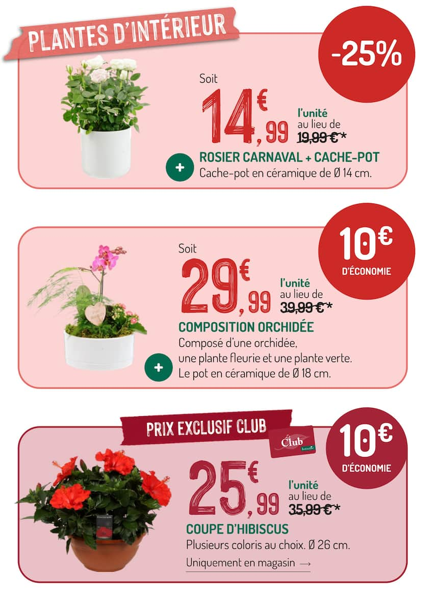 LES OFFRES DU MOMENT À NE PAS MANQUER - Page 7