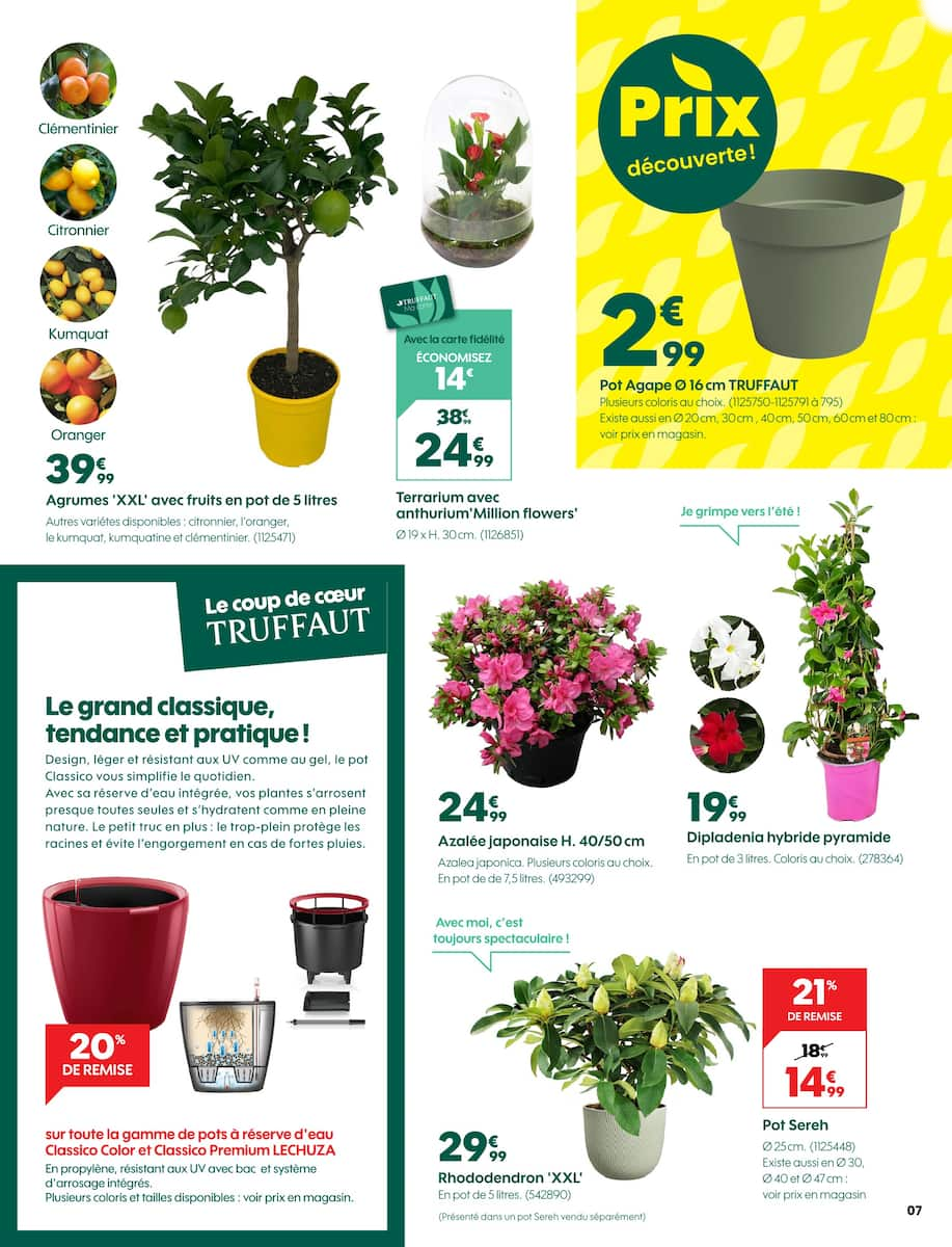  Catalog page 7 image 
